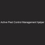 Active Pest Control Management hjelper Sydney-huseiere med å håndtere skadedyr i boliger og kommersielle virksomheter effektivt og pålitelig