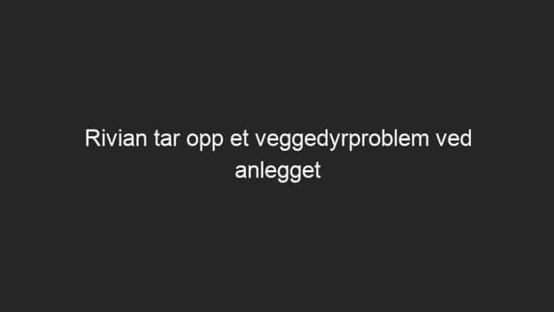 Rivian tar opp et veggedyrproblem ved anlegget sitt i Normal, IL