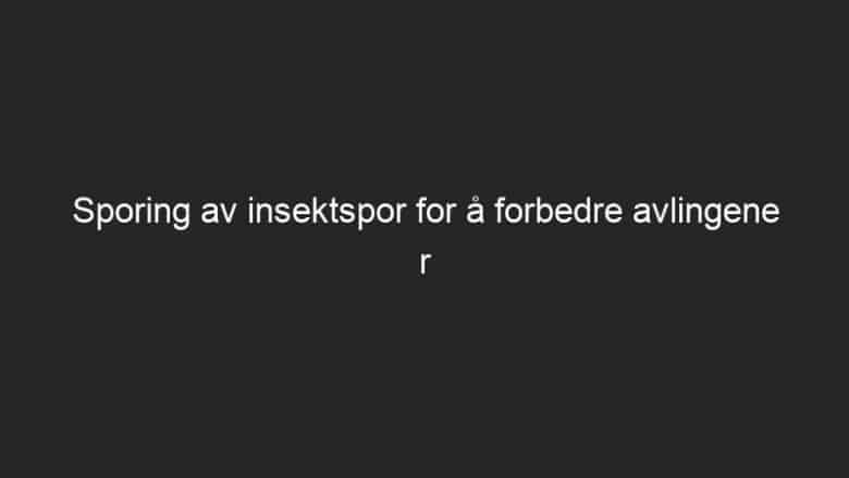 Sporing av insektspor for å forbedre avlingene r